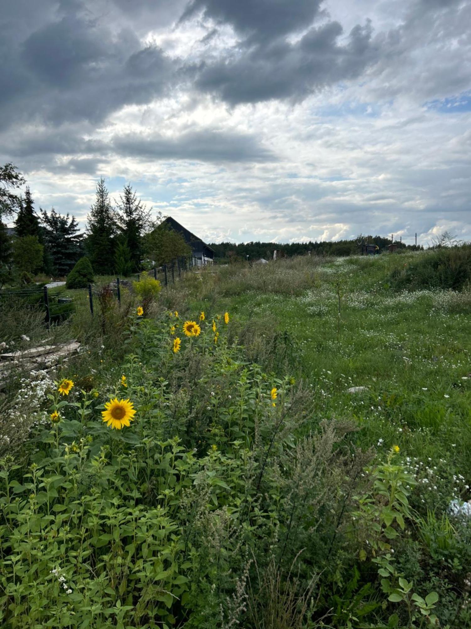 Apartmán Nowa Stodola Koniec Swiata Mikołajki Exteriér fotografie